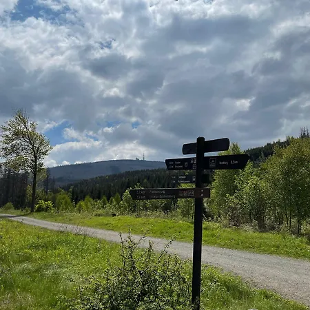 호텔 Goldene Krone 고슬라르