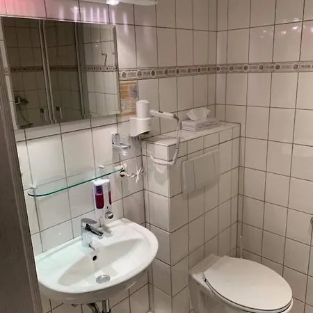 Goldene Krone 호텔